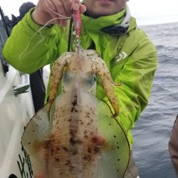 ソルトウォーターガイドフレンズ 釣果