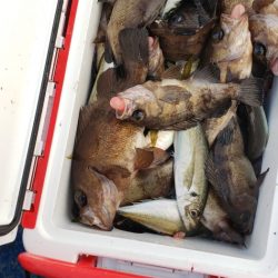 海龍丸（石川） 釣果