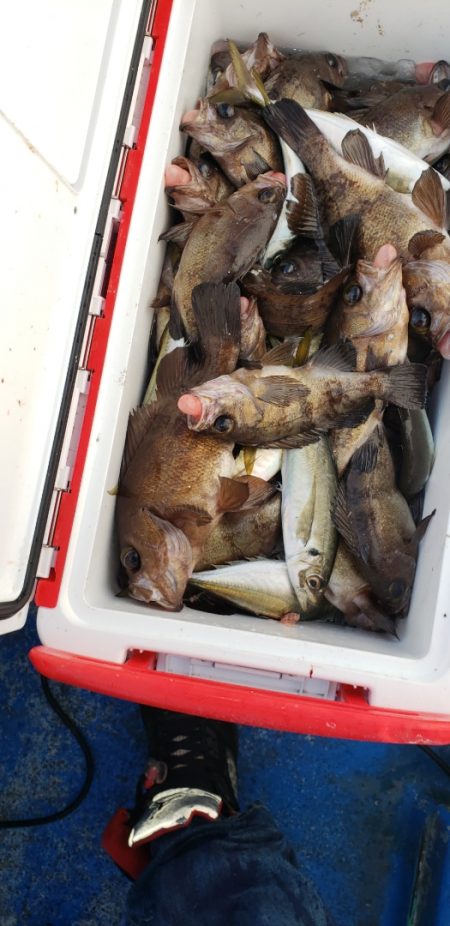 海龍丸（石川） 釣果