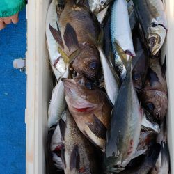 海龍丸（石川） 釣果