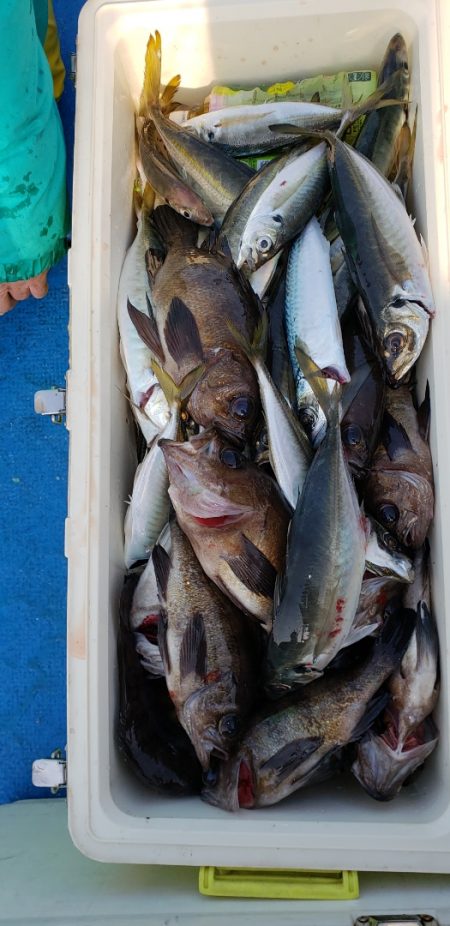 海龍丸（石川） 釣果