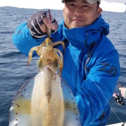 ソルトウォーターガイドフレンズ 釣果