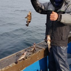 海龍丸（石川） 釣果