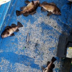 海龍丸（石川） 釣果