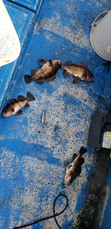 海龍丸（石川） 釣果