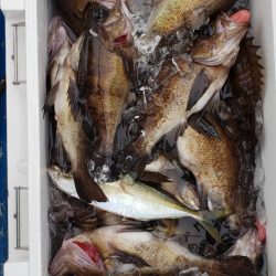 海龍丸（石川） 釣果