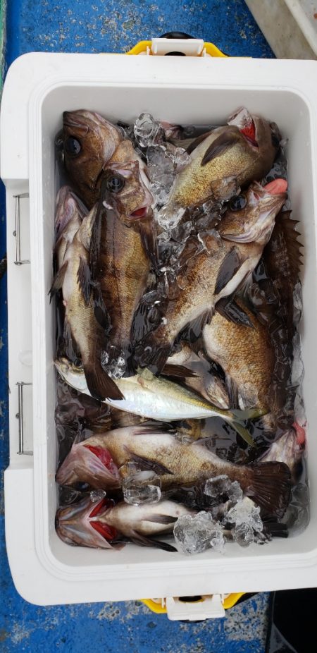 海龍丸（石川） 釣果