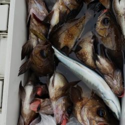 海龍丸（石川） 釣果