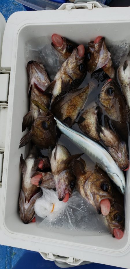 海龍丸（石川） 釣果