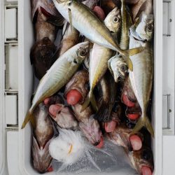 海龍丸（石川） 釣果