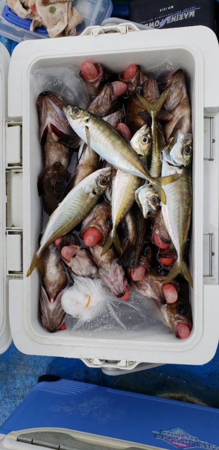 海龍丸（石川） 釣果