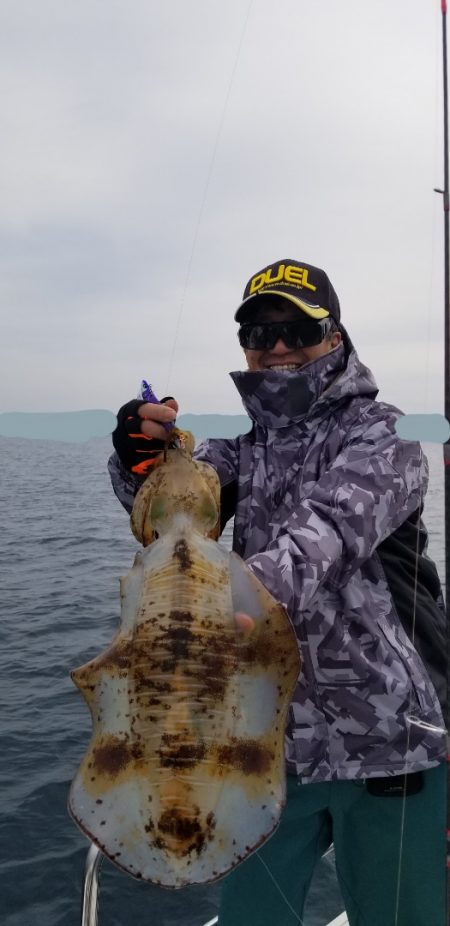 ソルトウォーターガイドフレンズ 釣果