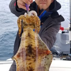 ソルトウォーターガイドフレンズ 釣果