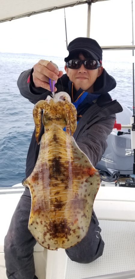 ソルトウォーターガイドフレンズ 釣果