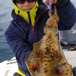 ソルトウォーターガイドフレンズ 釣果