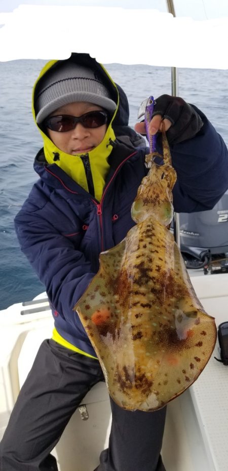 ソルトウォーターガイドフレンズ 釣果