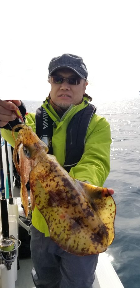 ソルトウォーターガイドフレンズ 釣果