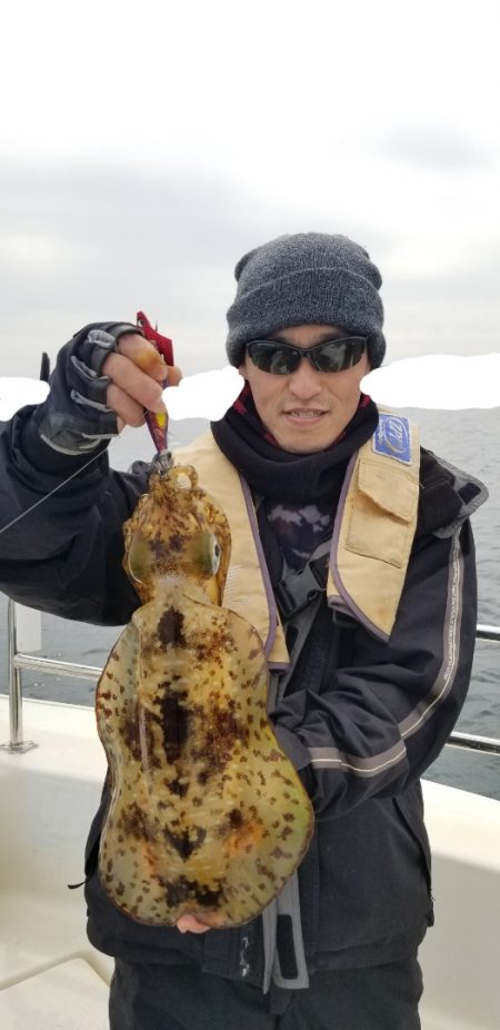 ソルトウォーターガイドフレンズ 釣果