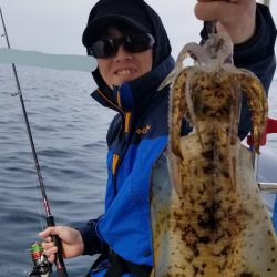 ソルトウォーターガイドフレンズ 釣果