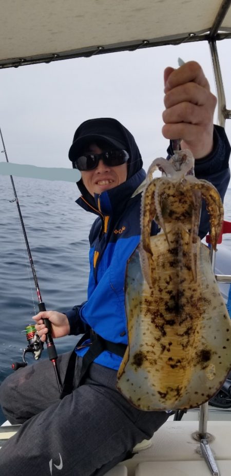 ソルトウォーターガイドフレンズ 釣果