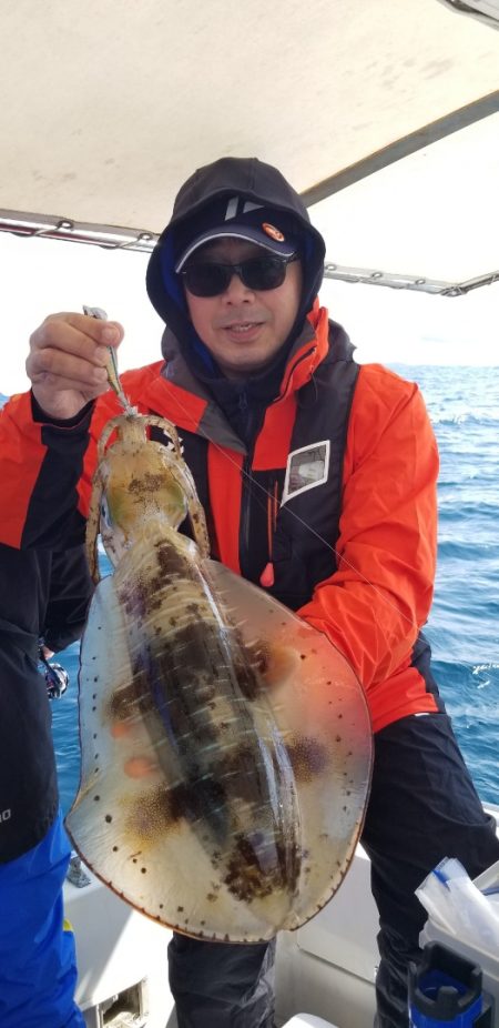 ソルトウォーターガイドフレンズ 釣果