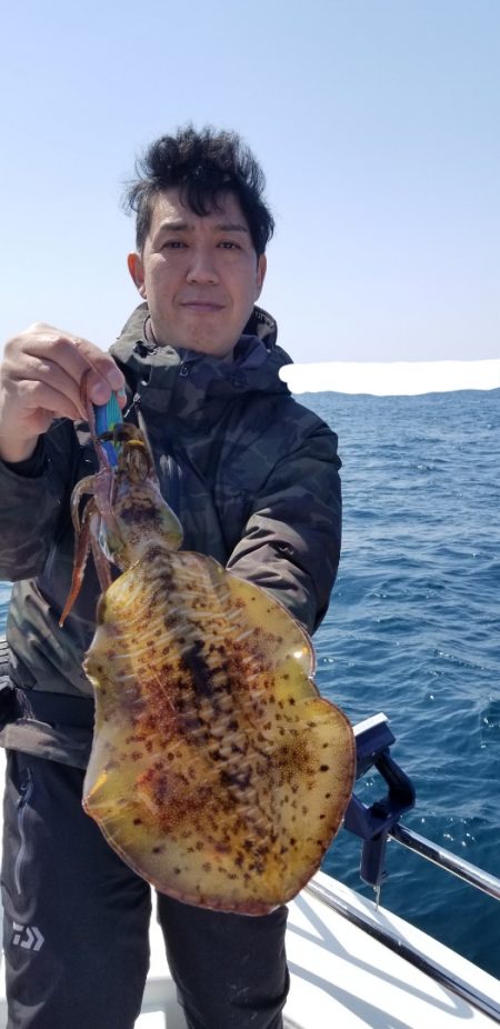 ソルトウォーターガイドフレンズ 釣果