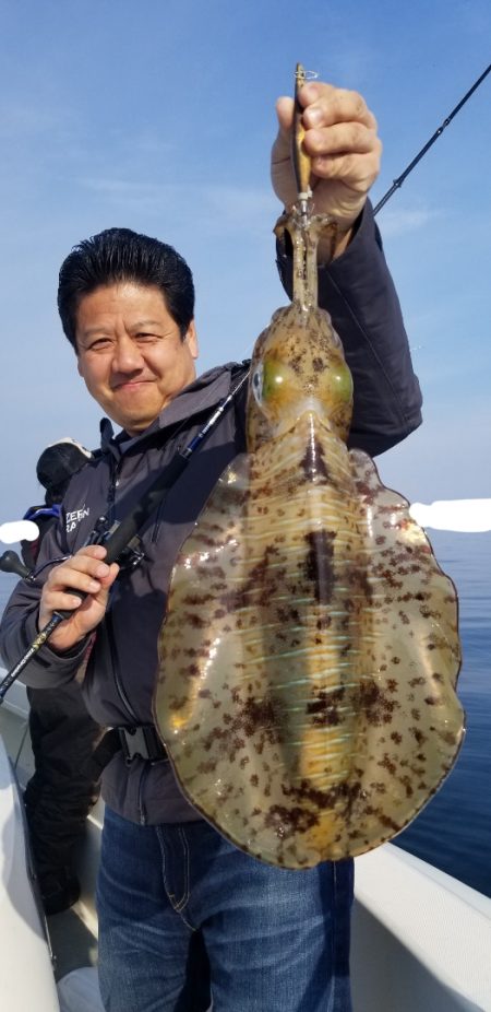 ソルトウォーターガイドフレンズ 釣果