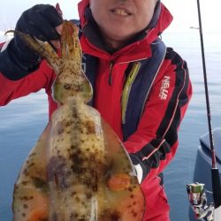 ソルトウォーターガイドフレンズ 釣果