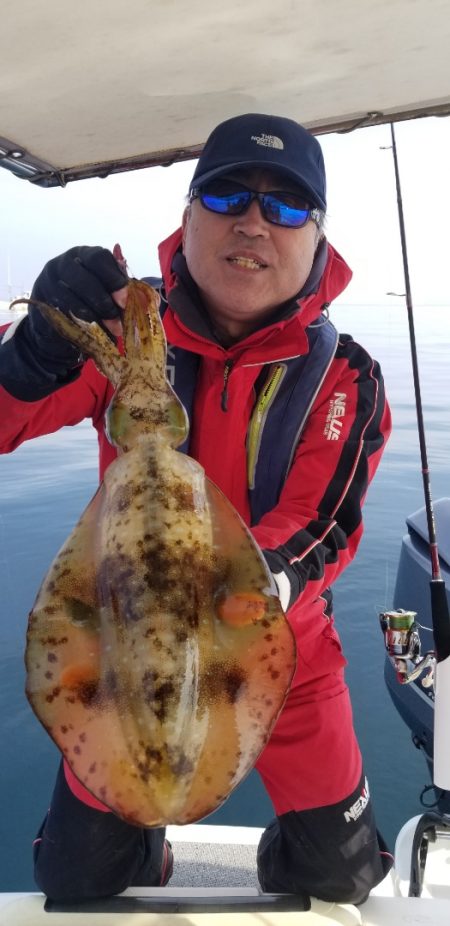 ソルトウォーターガイドフレンズ 釣果