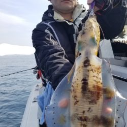 ソルトウォーターガイドフレンズ 釣果