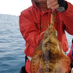 ソルトウォーターガイドフレンズ 釣果