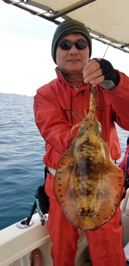 ソルトウォーターガイドフレンズ 釣果