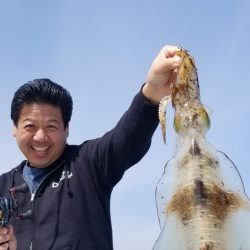 ソルトウォーターガイドフレンズ 釣果