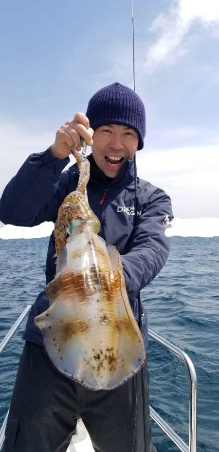 ソルトウォーターガイドフレンズ 釣果