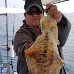 ソルトウォーターガイドフレンズ 釣果