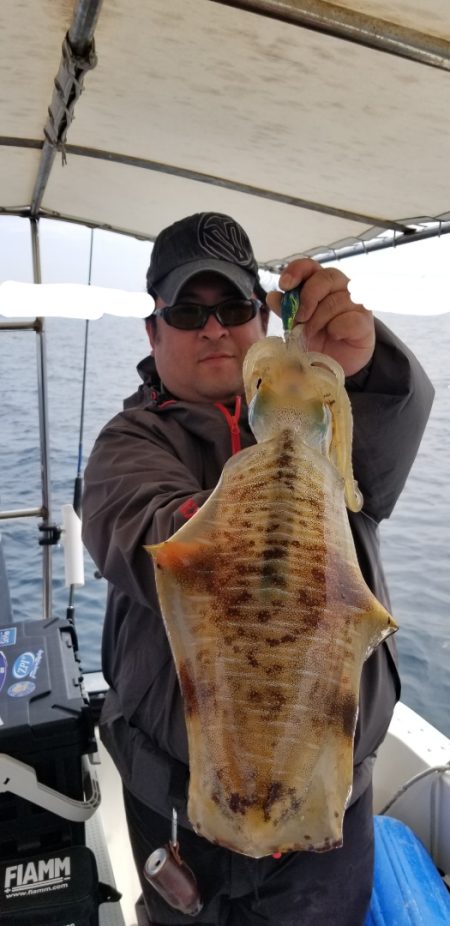 ソルトウォーターガイドフレンズ 釣果