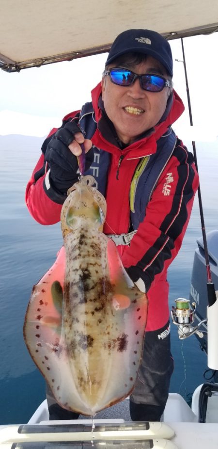 ソルトウォーターガイドフレンズ 釣果