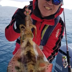 ソルトウォーターガイドフレンズ 釣果