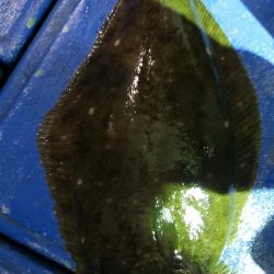 海龍丸（石川） 釣果