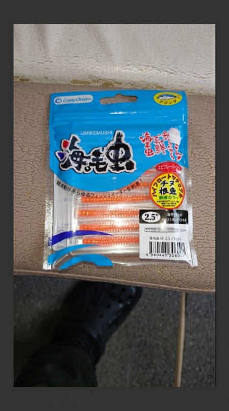 ARCADIAⅡ (アルカディアⅡ) 釣果