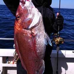 ARCADIAⅡ （アルカディアⅡ） 釣果