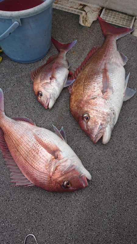 ARCADIAⅡ (アルカディアⅡ) 釣果