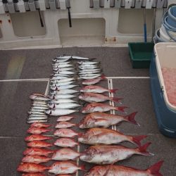 ARCADIAⅡ (アルカディアⅡ) 釣果