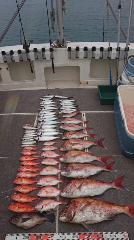 ARCADIAⅡ （アルカディアⅡ） 釣果…