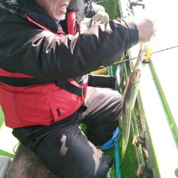 小島丸 釣果