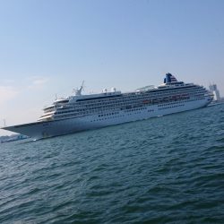 金沢八景鴨下丸 釣果