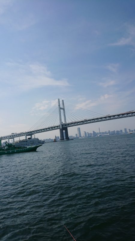 金沢八景鴨下丸 釣果