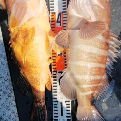 第二龍勢丸 釣果