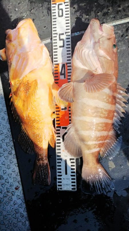 第二龍勢丸 釣果