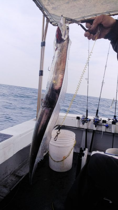 第二龍勢丸 釣果